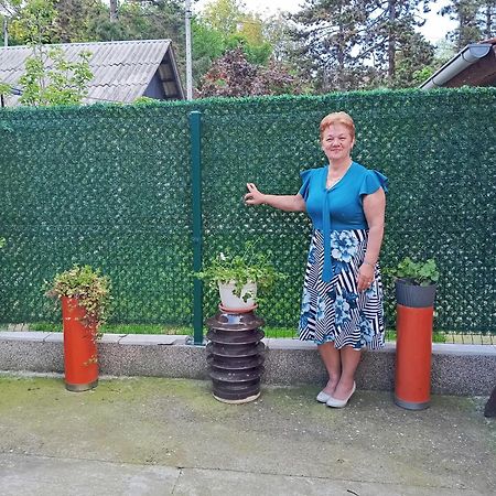 Milica Apartmani Vrdnik Dış mekan fotoğraf