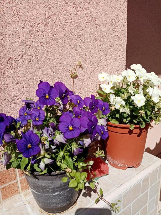 Milica Apartmani Vrdnik Dış mekan fotoğraf