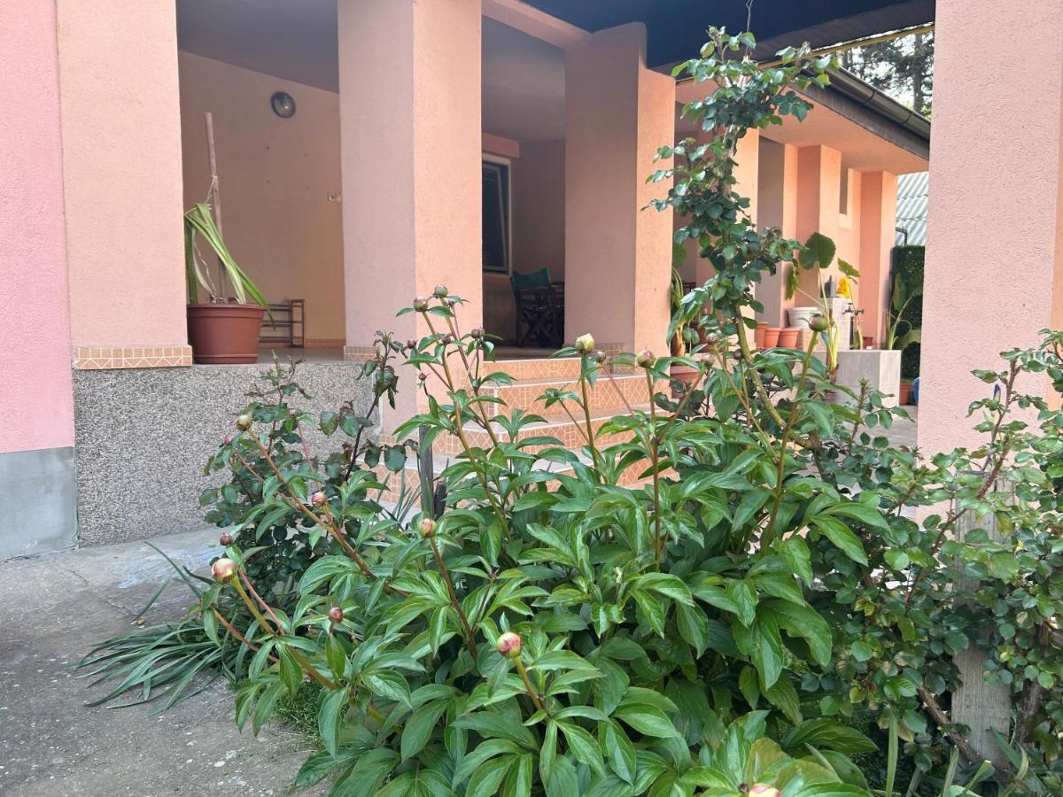 Milica Apartmani Vrdnik Dış mekan fotoğraf