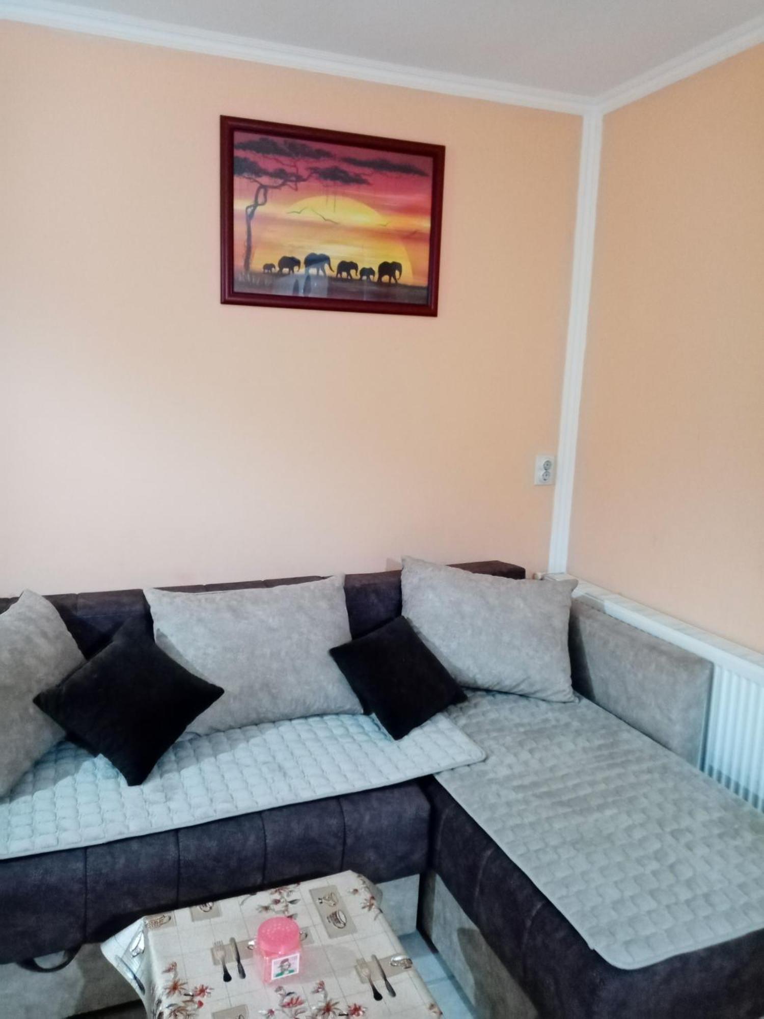 Milica Apartmani Vrdnik Dış mekan fotoğraf