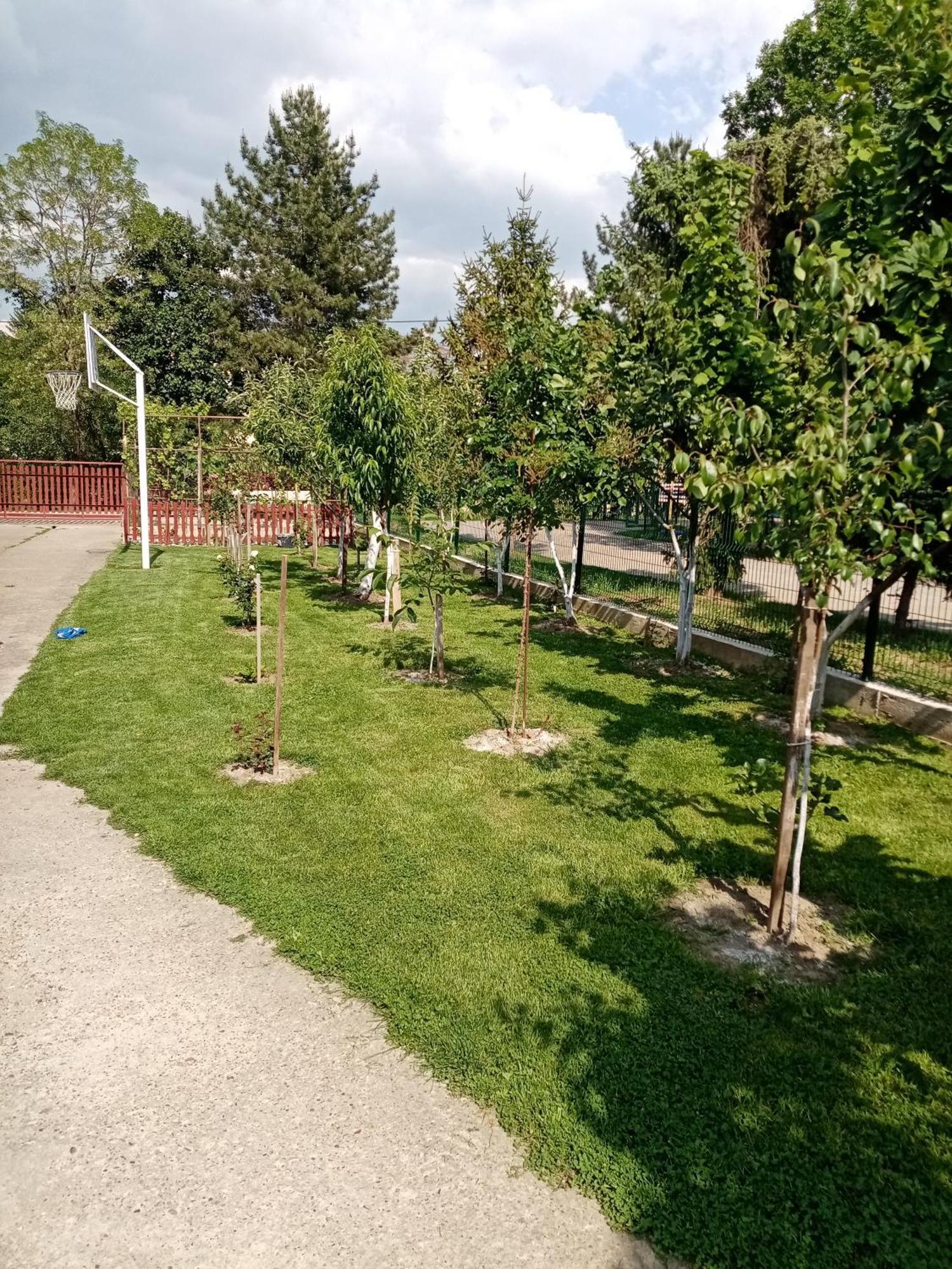 Milica Apartmani Vrdnik Dış mekan fotoğraf