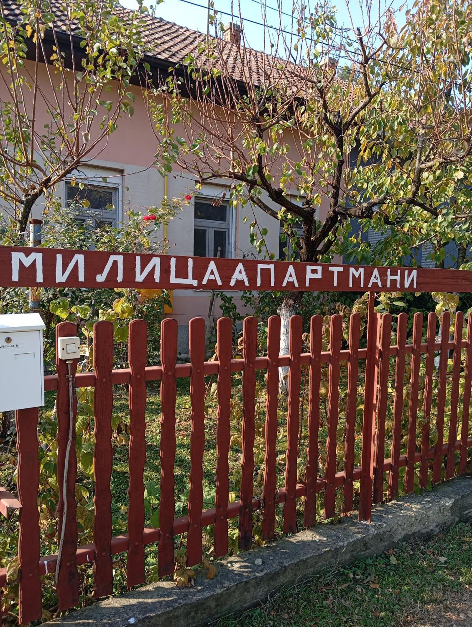 Milica Apartmani Vrdnik Dış mekan fotoğraf