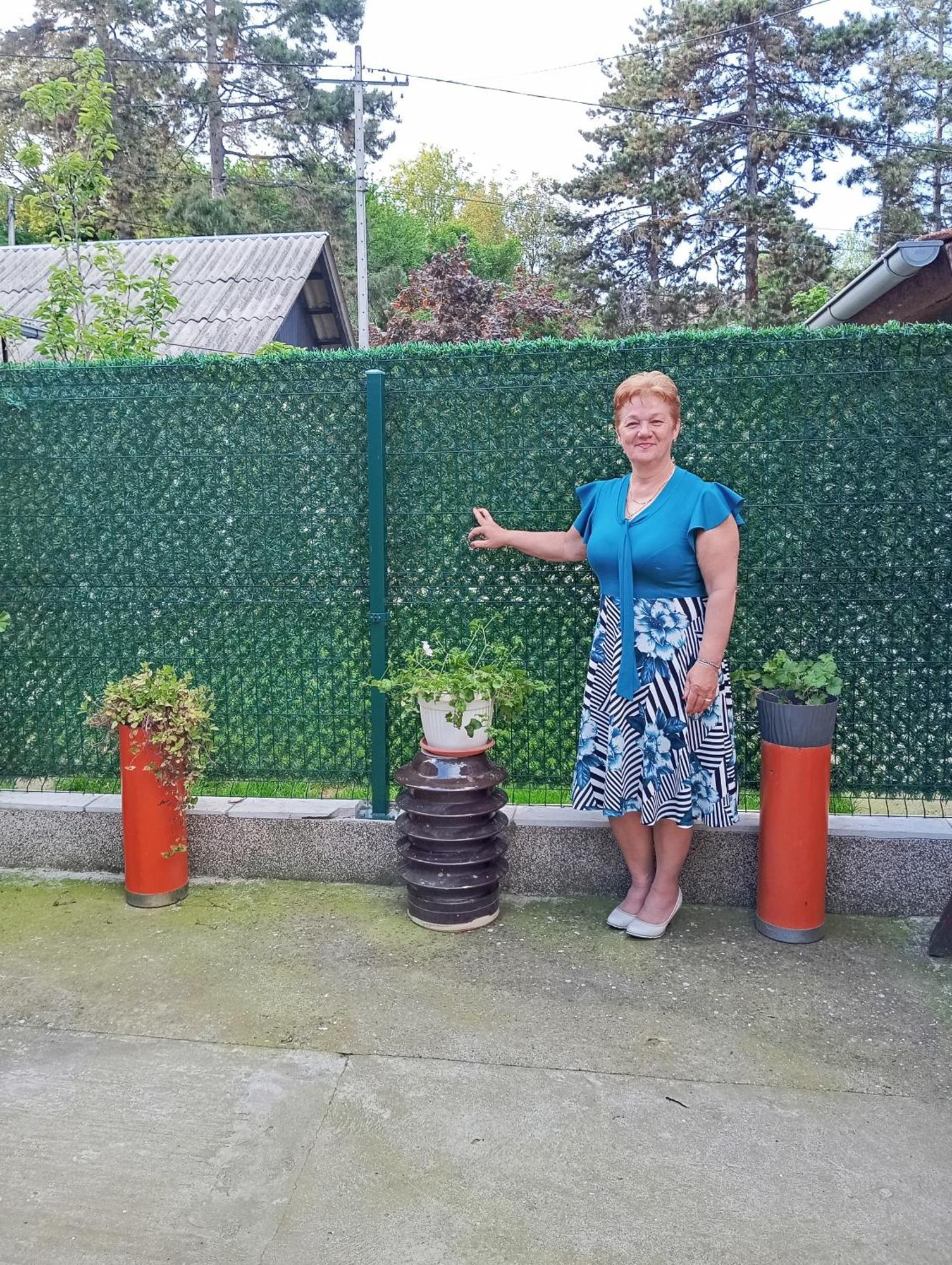 Milica Apartmani Vrdnik Dış mekan fotoğraf