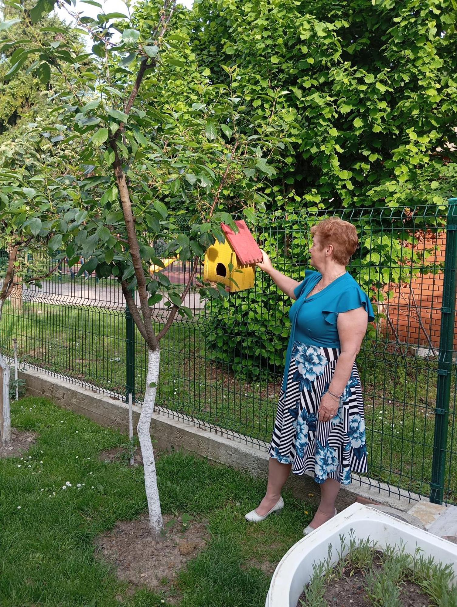 Milica Apartmani Vrdnik Dış mekan fotoğraf