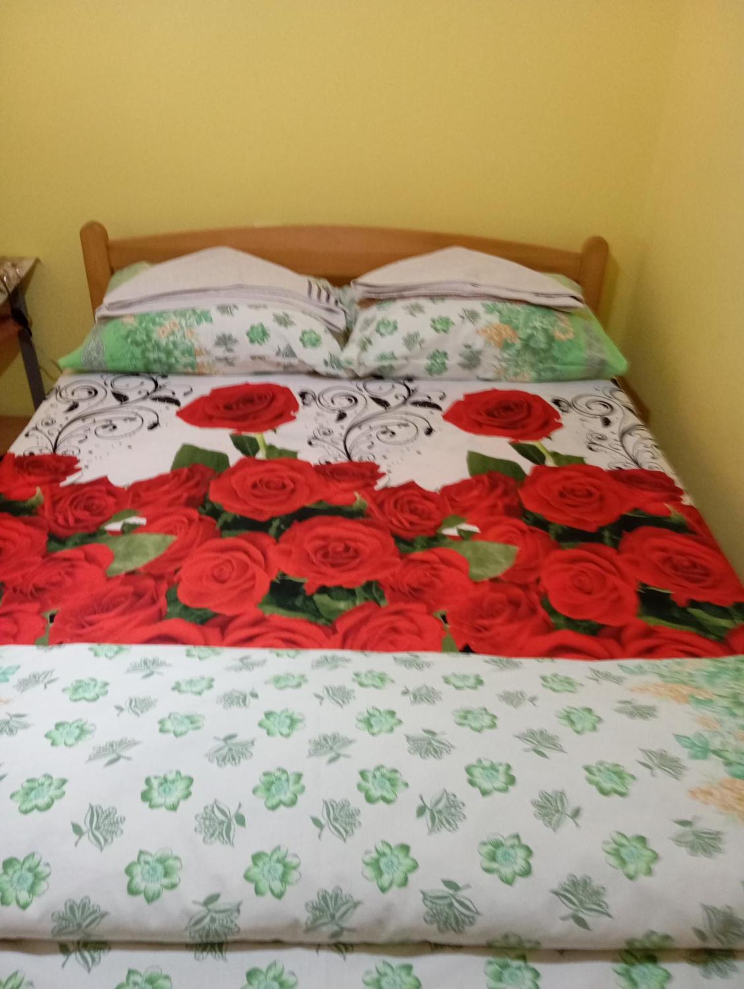 Milica Apartmani Vrdnik Dış mekan fotoğraf