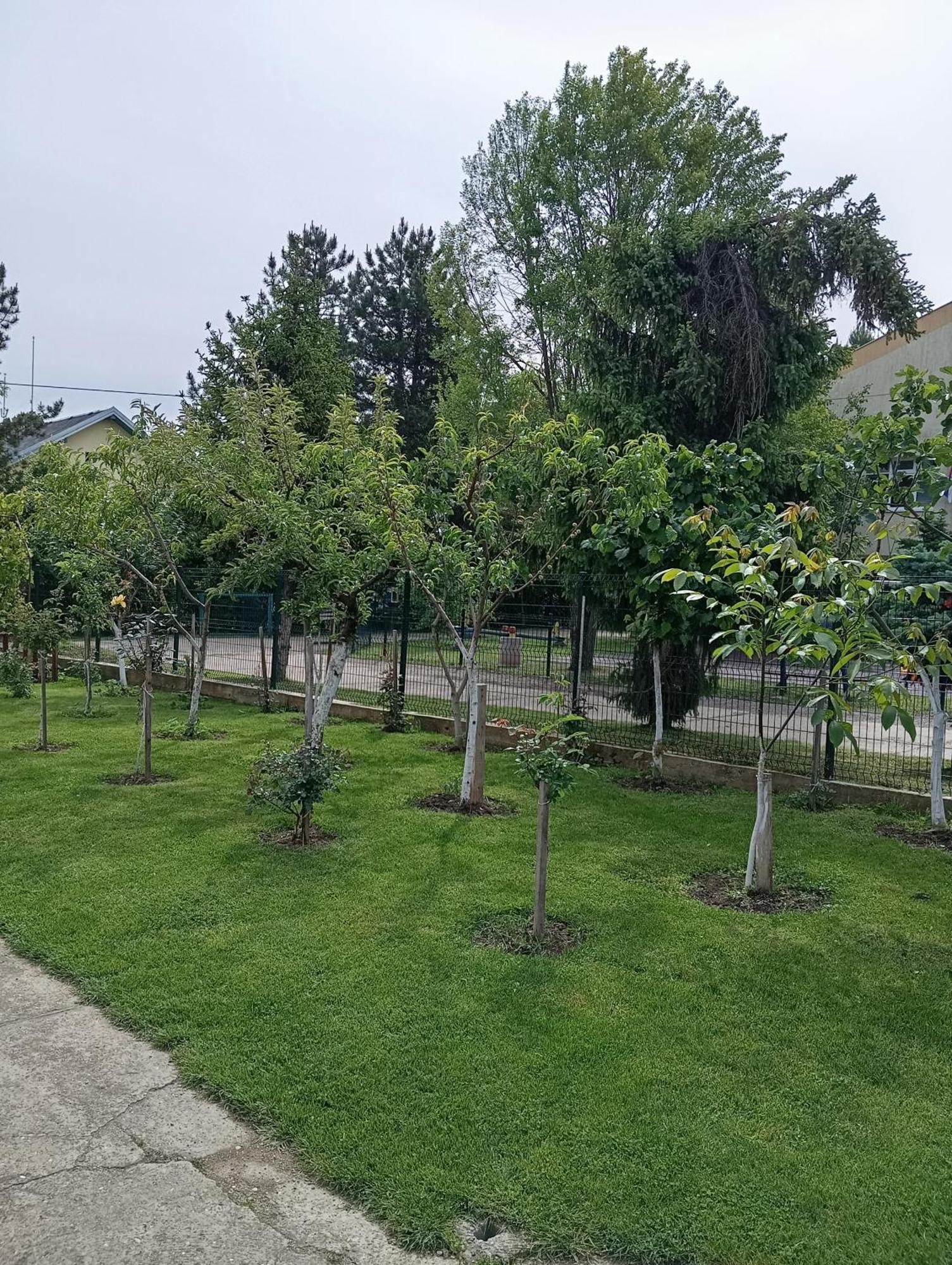 Milica Apartmani Vrdnik Dış mekan fotoğraf